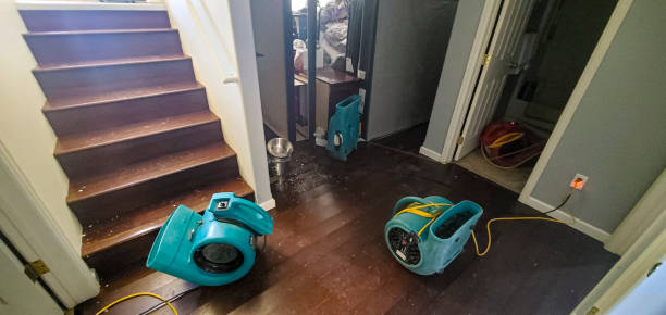 Best Flood damage cleanup  in Wellsburg, WV