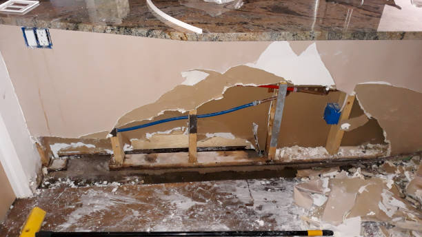Best Flood restoration services  in Wellsburg, WV