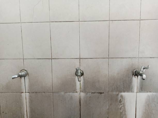 Best Flooded house restoration  in Wellsburg, WV