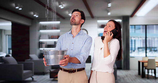 Best Water damage restoration mold remediation  in Wellsburg, WV